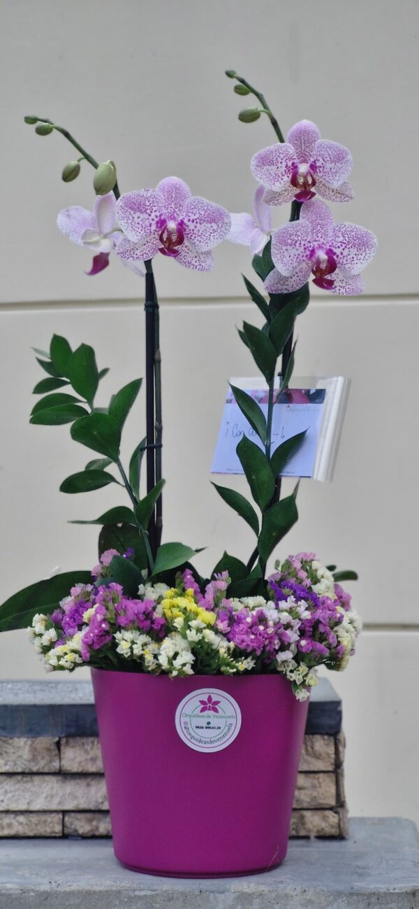 arreglo individual con pleitesía floral - Imagen 2
