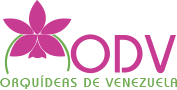 Logo Orquídeas de Venezuela 2021