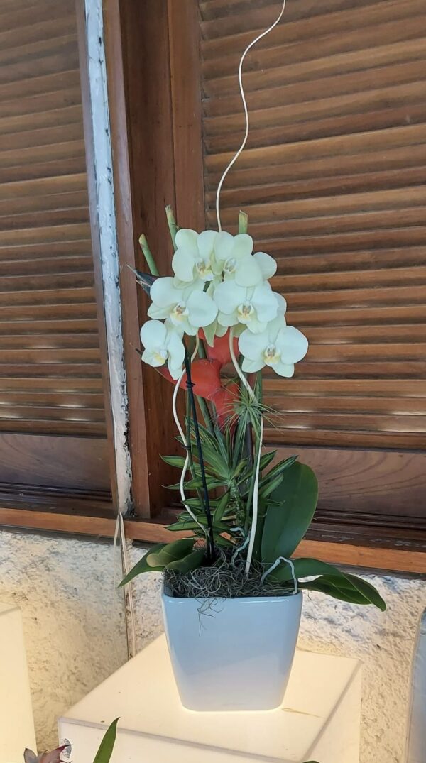 Alquiler de plantas - Imagen 9